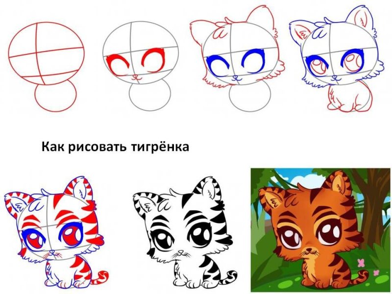 Как нарисовать тигренк