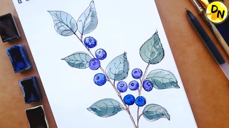 Черника рисовать поэтапно