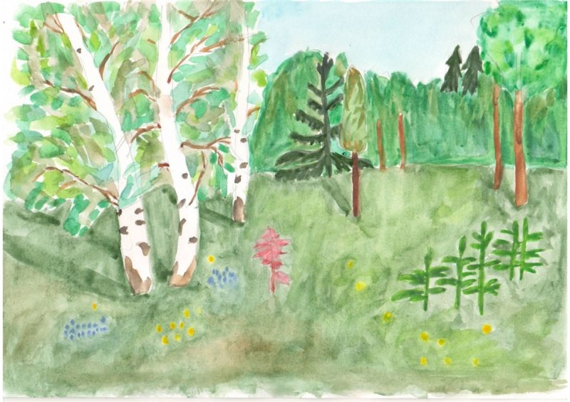 Красота леса рисунок