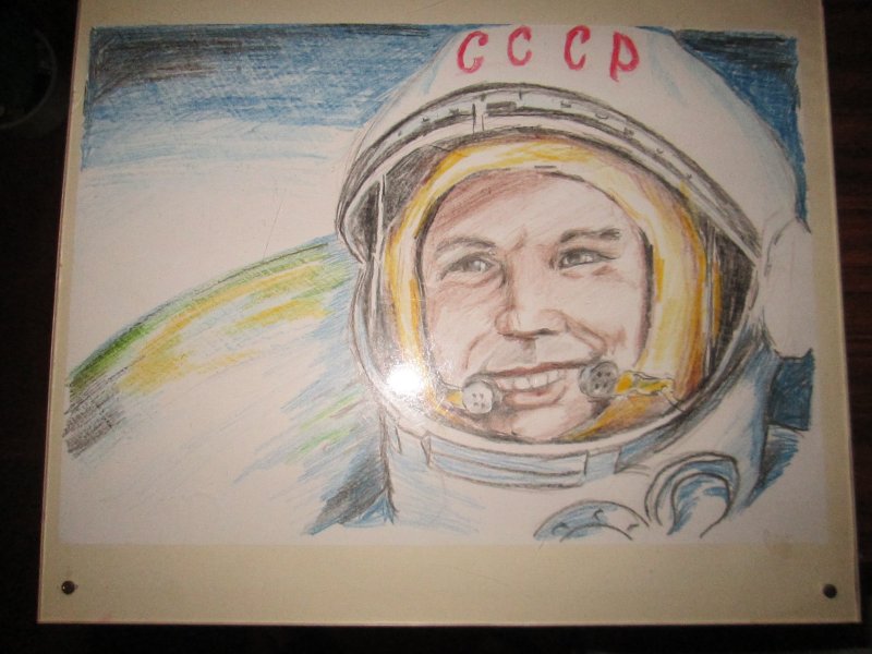 Гагарина легкие