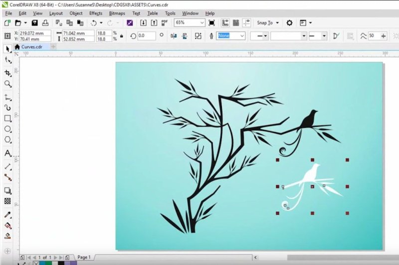 Программа для векторной графики coreldraw