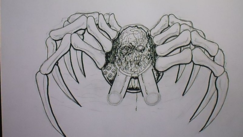 Паук эскиз карандашом