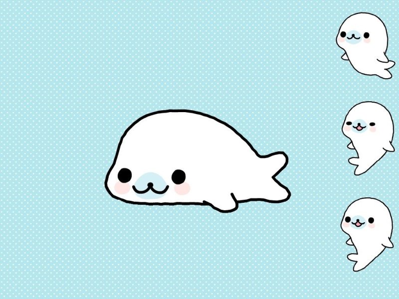 Кавайные морские котики