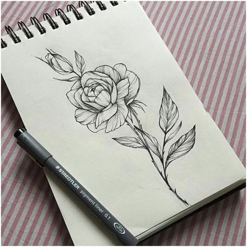 Рисунки для СКЕЙДЧ бука