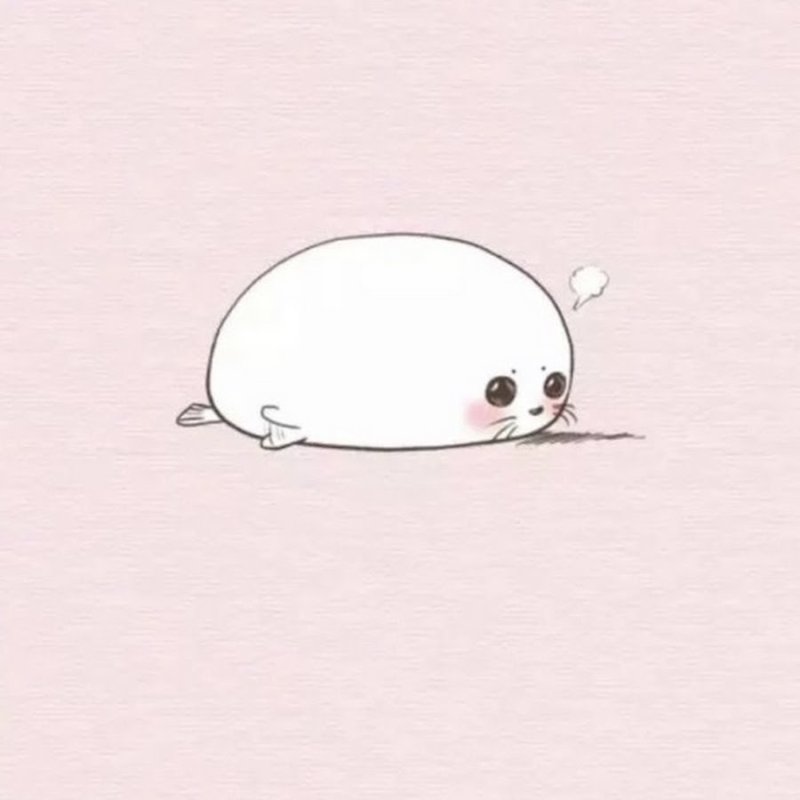 Милый тюлень рисунок