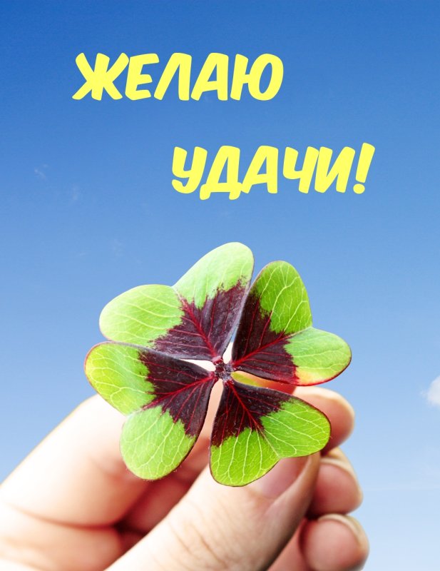 Удачи картинки