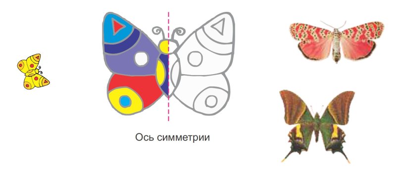Симметричная бабочка рисунок