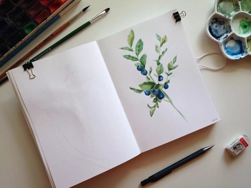 Рисунки для скретч бука