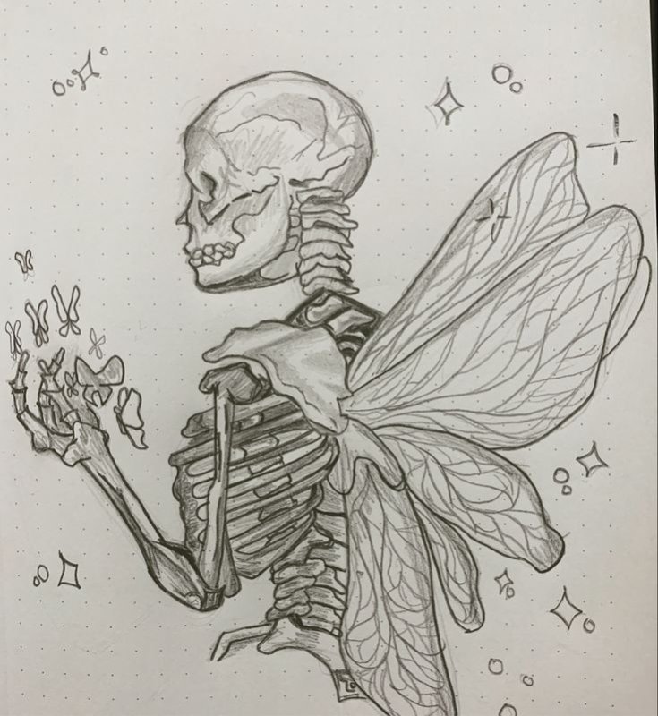 Скелет рисунок скетч