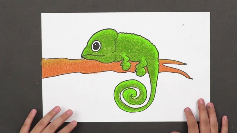 хамелеон рисунок легкий