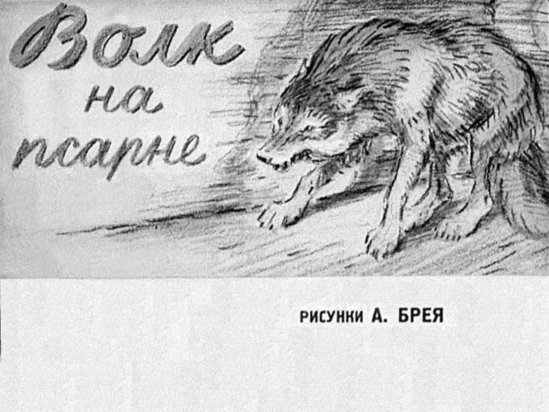 Иллюстрация к басне волк на псарне