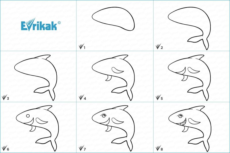Как нарисовать акулу поэтапно