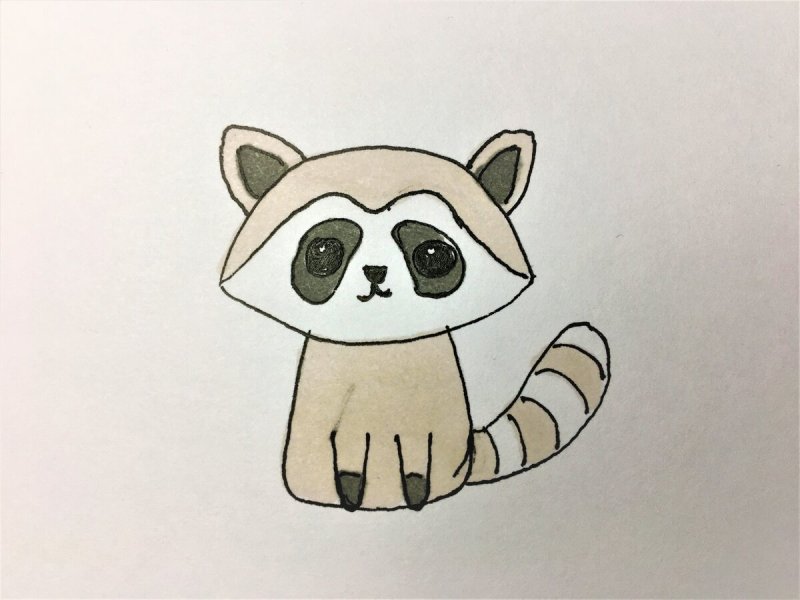 Рисунки енота для срисовки легкие