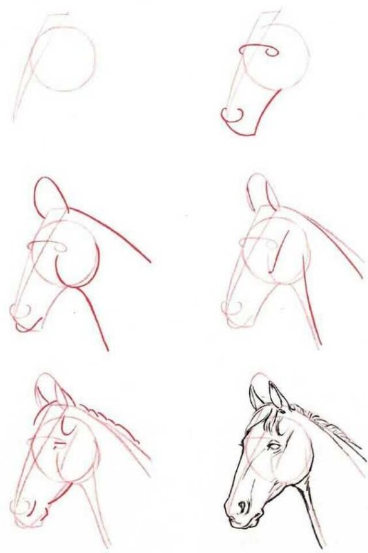 Рисунок легкий