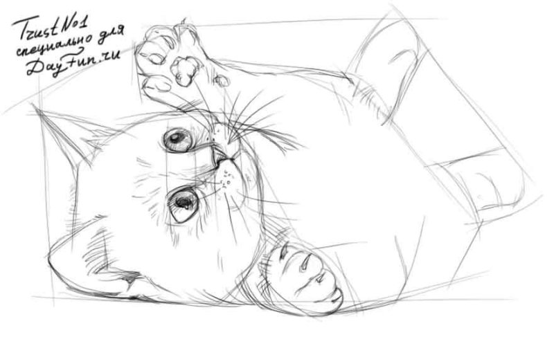 Котенок рисунок
