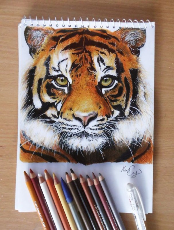 рисунки цветными карандашами