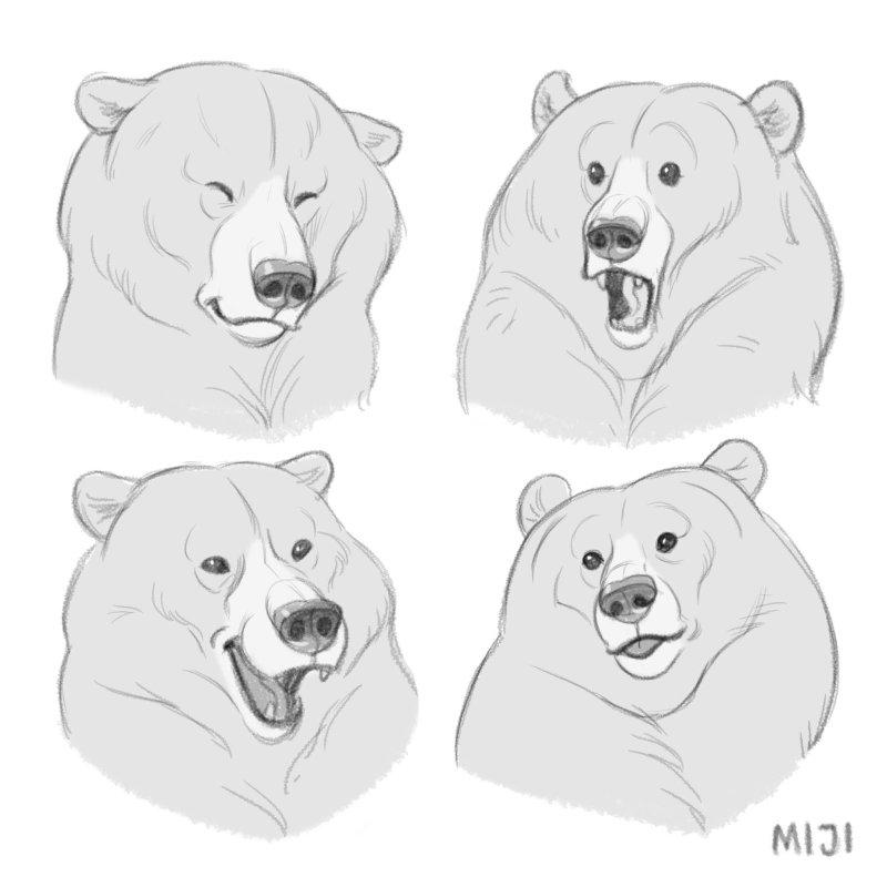 Полярный медведь референс