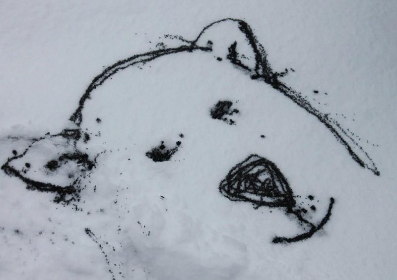рисунки на снегу