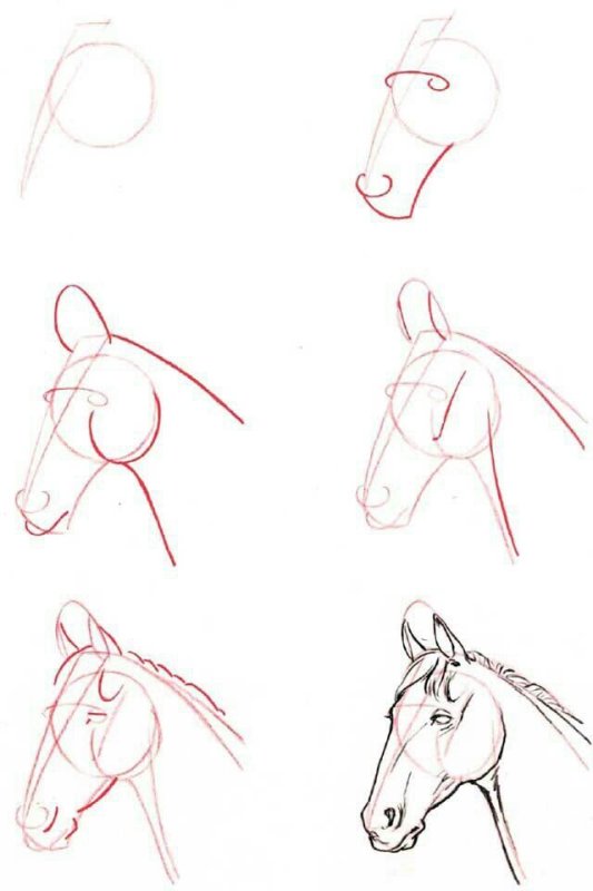 Лошадь рисунок