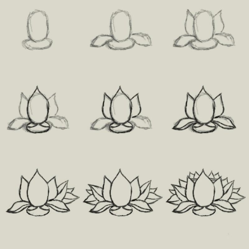 поэтапное рисование лотоса