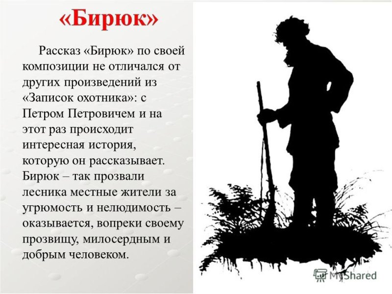 Иллюстрация к произведению Тургенева Бирюк Записки охотника