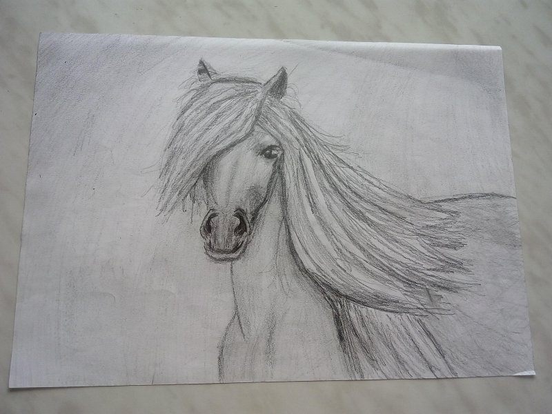 Рисунки карандашом