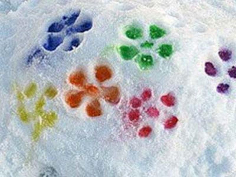 Рисование на снегу в детском саду красками