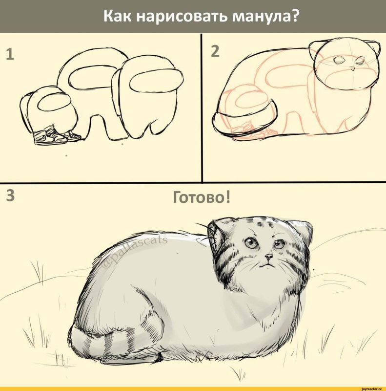 Кот Манул рисунок
