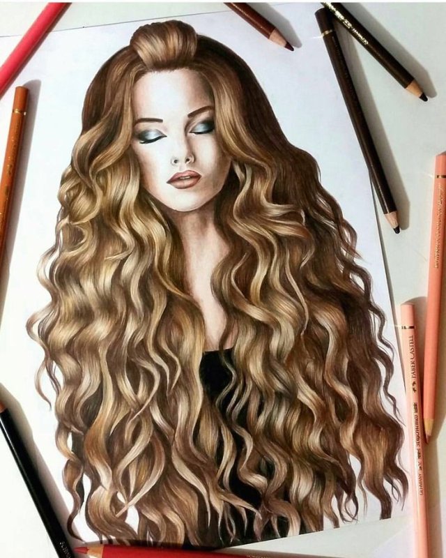 кудри рисунок