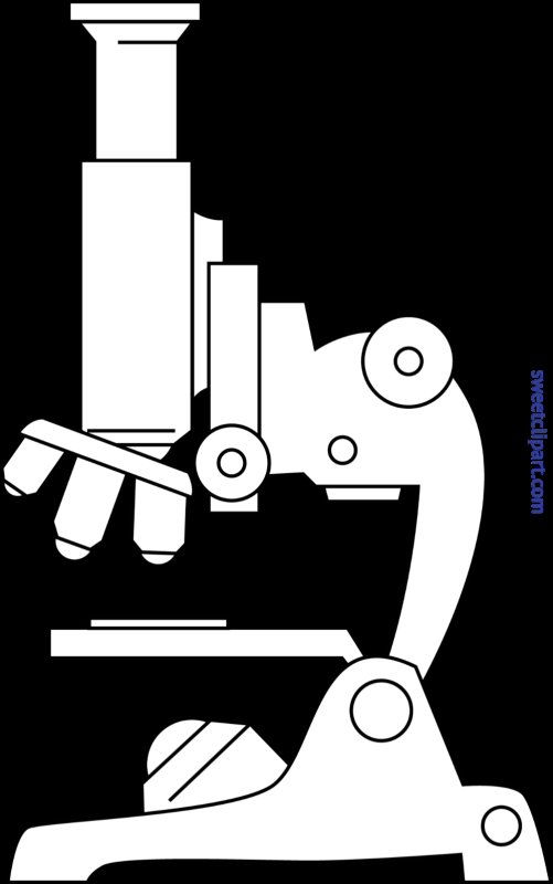 Микроскоп рисунок