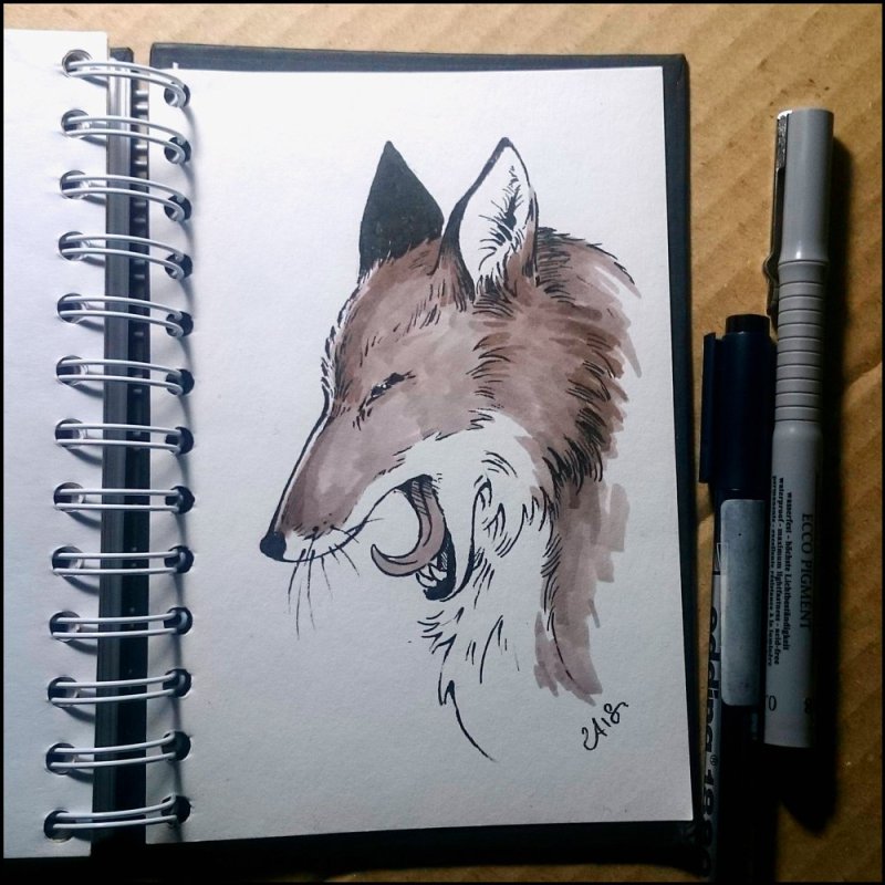 Рисунки для скетчбука животные
