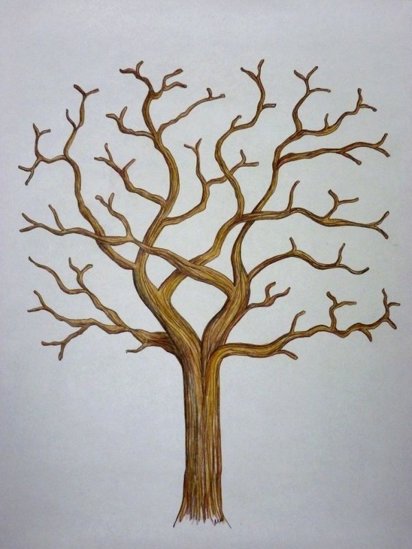 ствол дерева рисунок