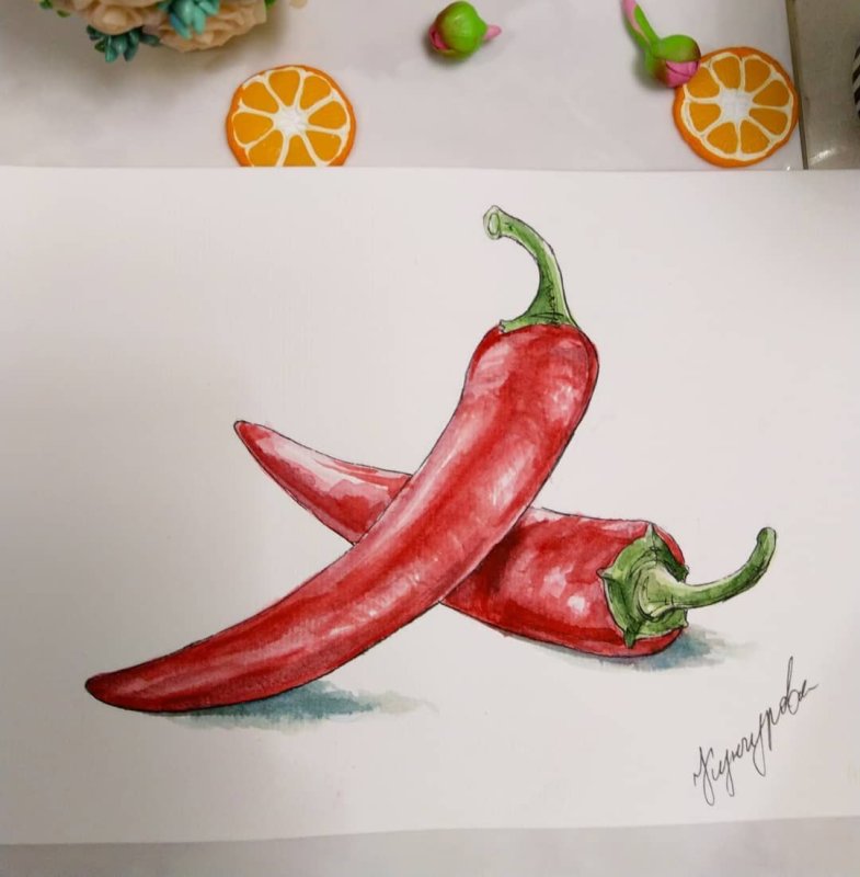 Перчик Чили рисунок для срисовки