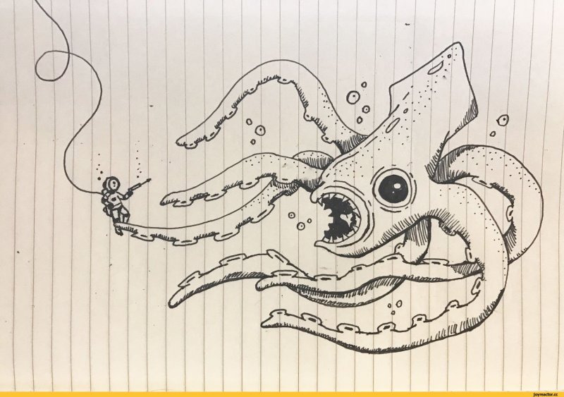 Кальмар рисунок