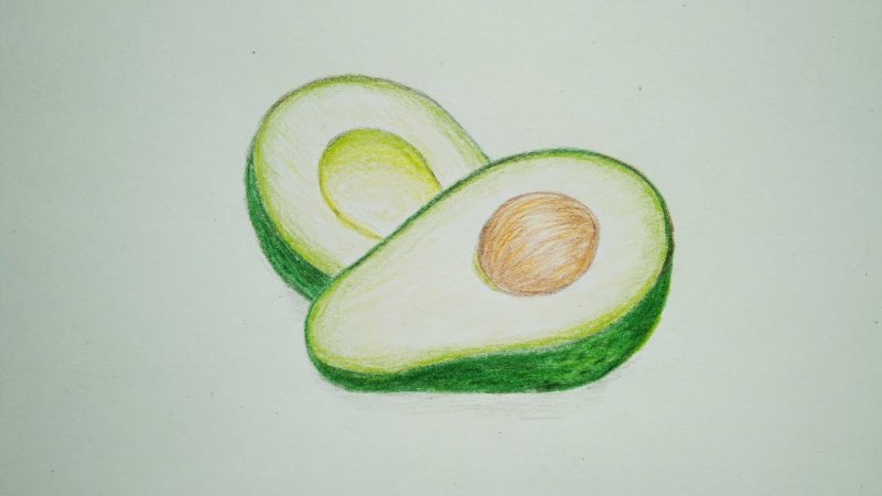 Авокадо рисунок для срисовки