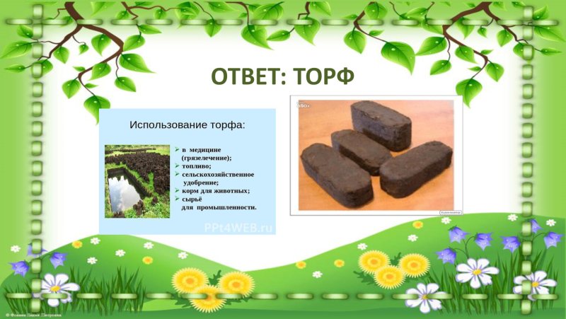 Торф 4 класс