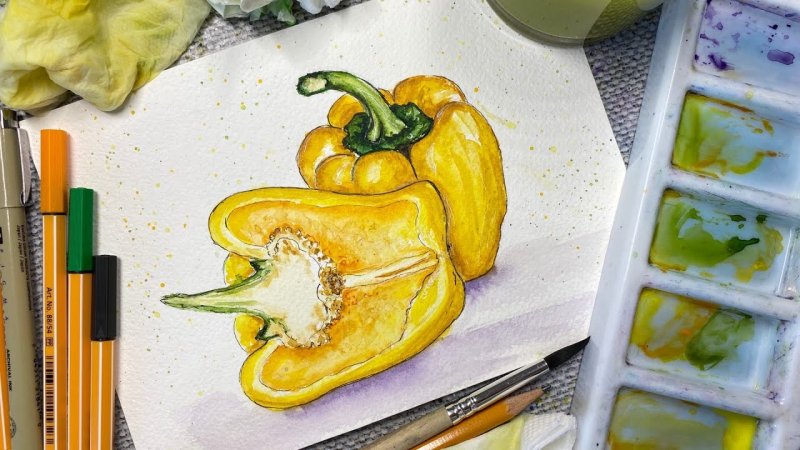 Зарисовка овощей акварелью