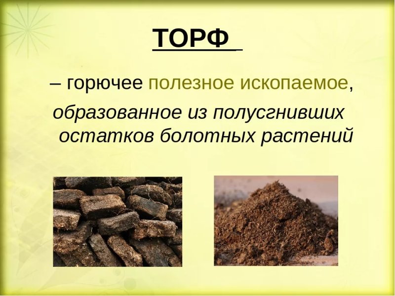Торф для детей