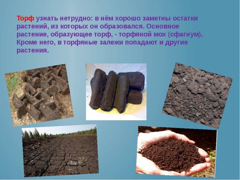 Полезные ископаемые торф