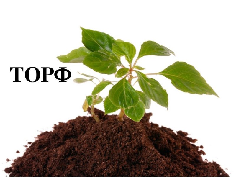Торфяной субстрат