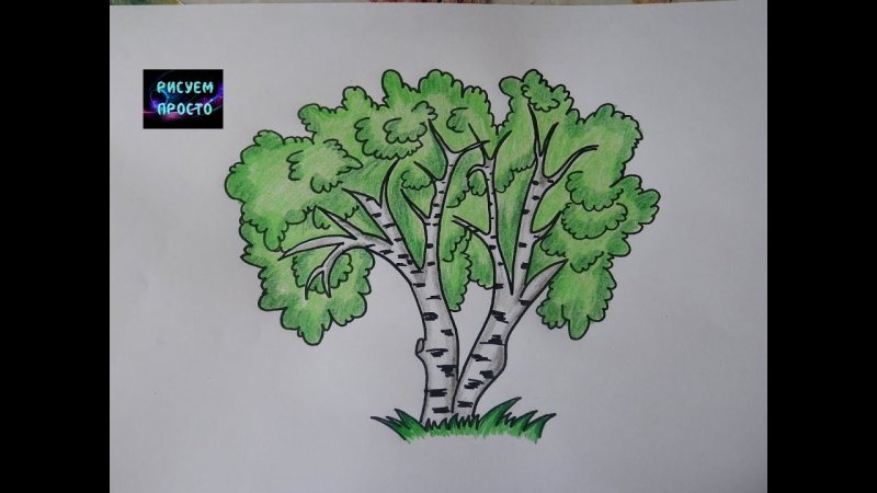 Дерево для рисования