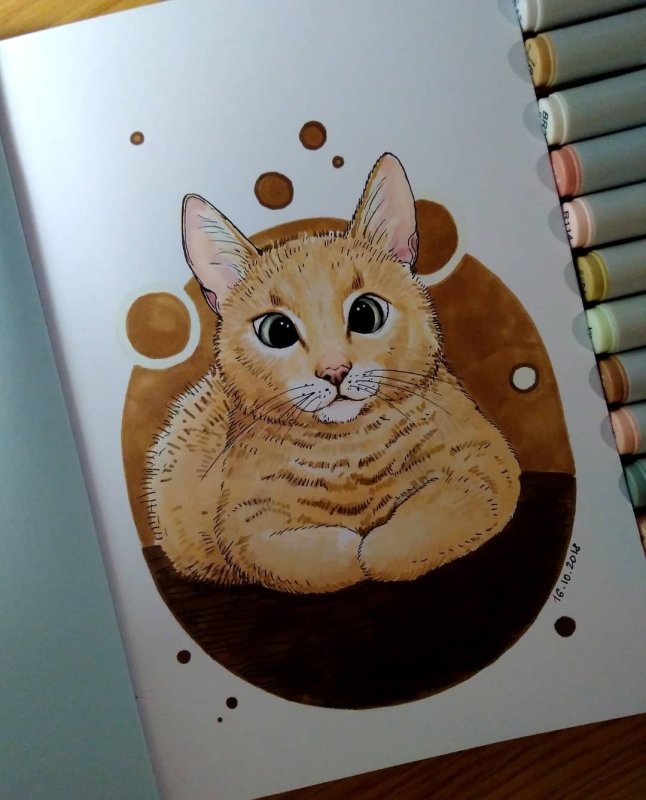 Котик маркерами