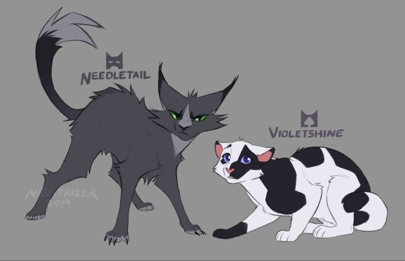 Needletail коты Воители