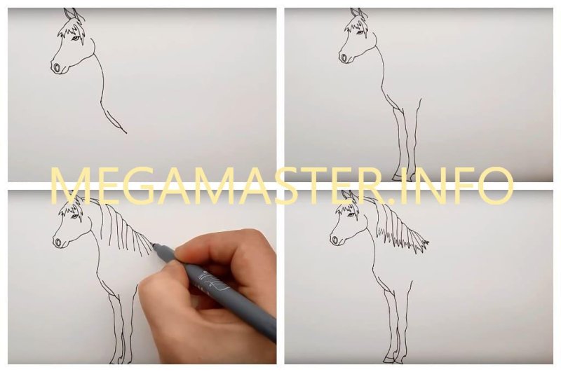 рисуем лошадь поэтапно для детей