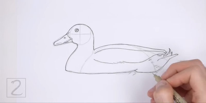 Рисунки для рисования мультяшных уточек