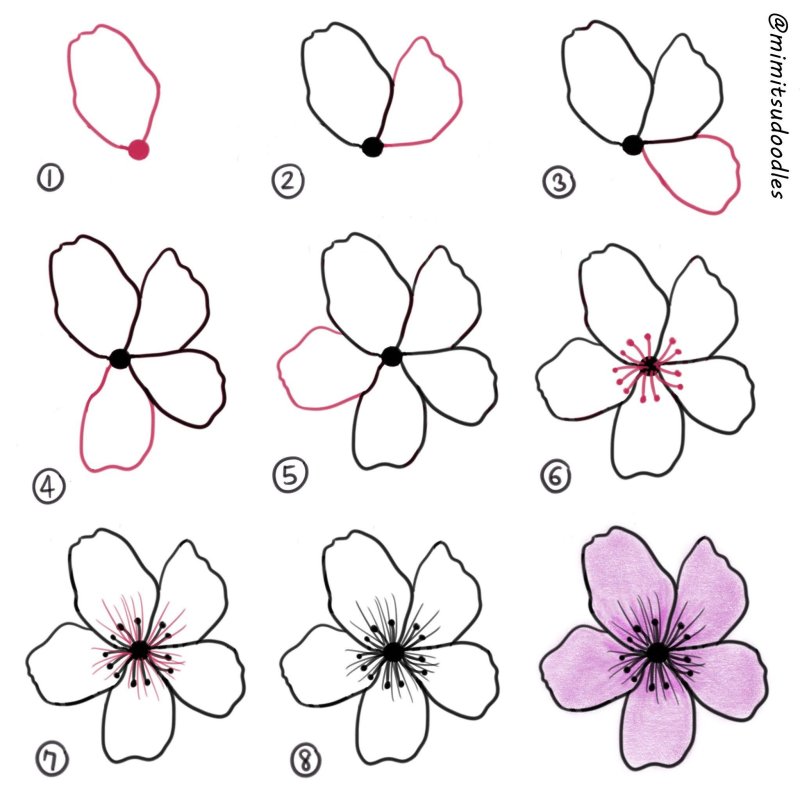 простые цветочки для рисования