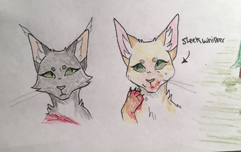 Warriors Cat Sleekwhisker