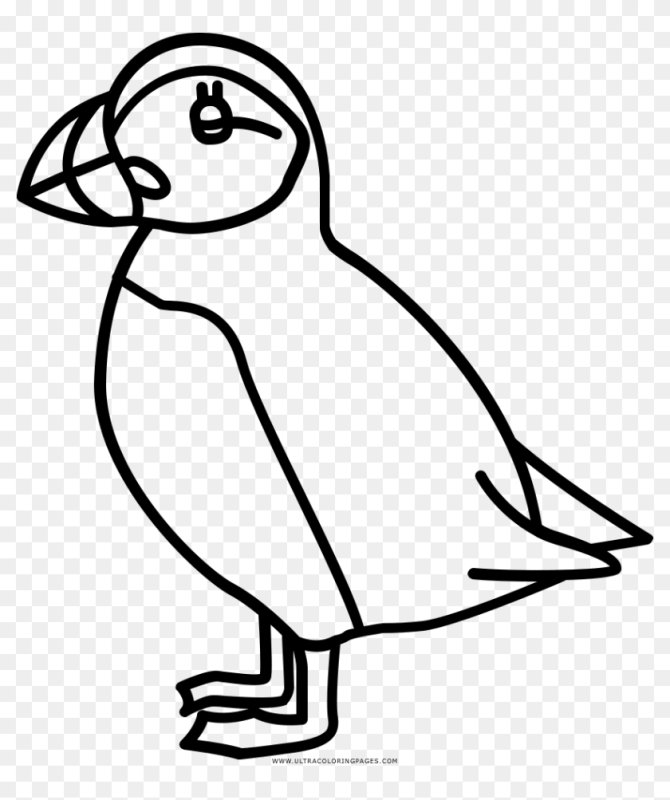 Птичка раскраска