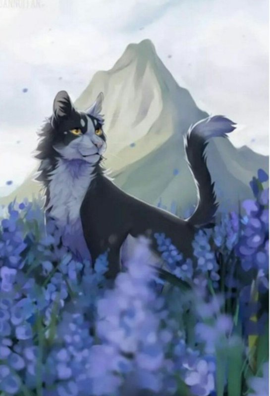 Коты Воители арт