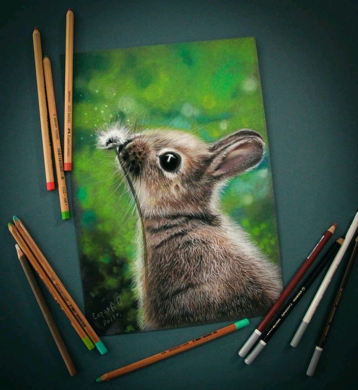 Рисунки пастельными карандашами